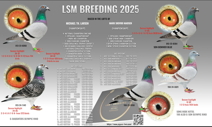 LSM Breeding - Mark Skovbo - Denmark Superstar!