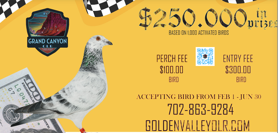 (3) 2025 Perches North Golden Valley OLR