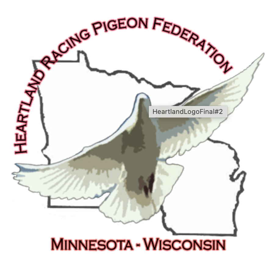 PURPLE HEART TOP 15 RACE WINNERS!