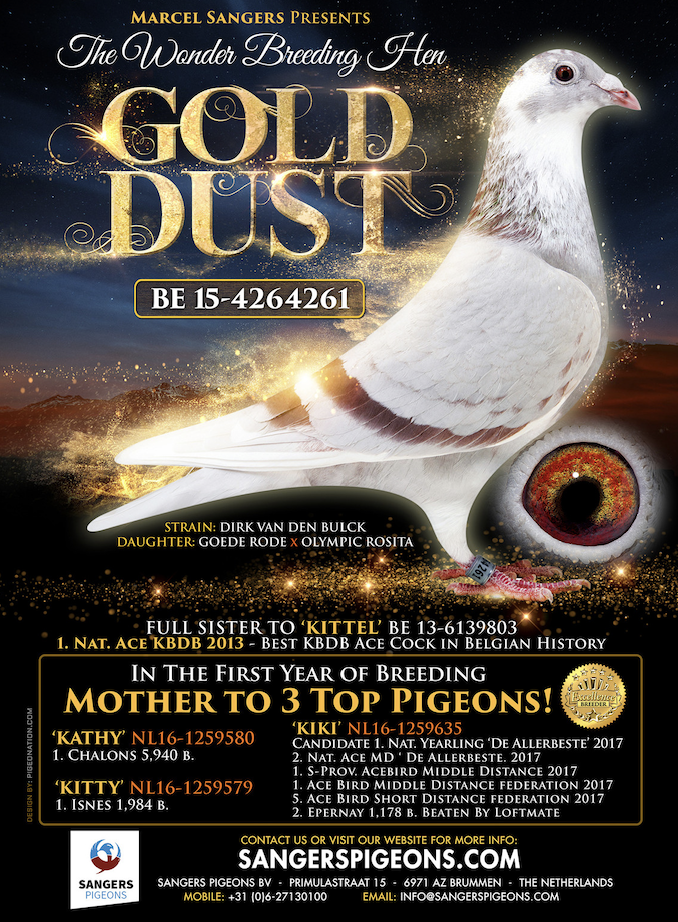 BEST OF KITTEL, LEO HEREMANS, GOLD DUST, AND SAGAN