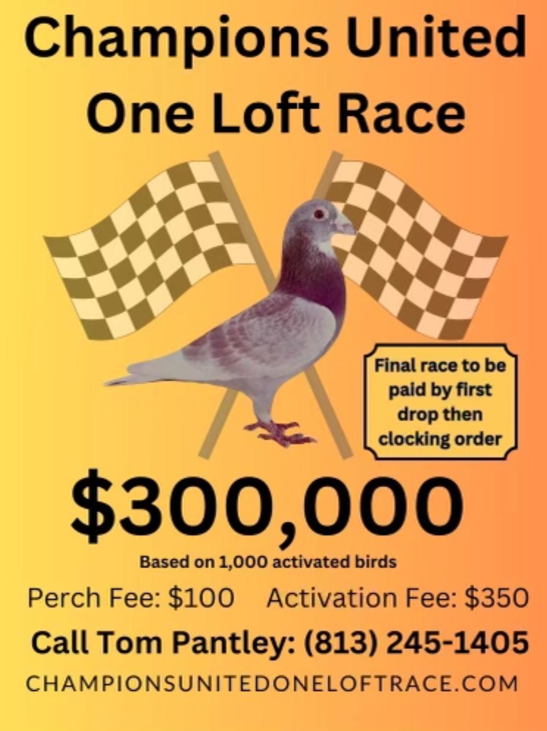 Champions United One Loft Race!