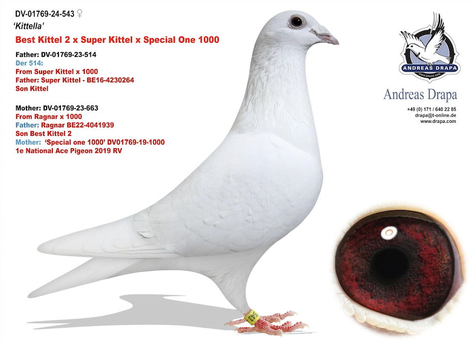 01769 24 543 - KITTELLA