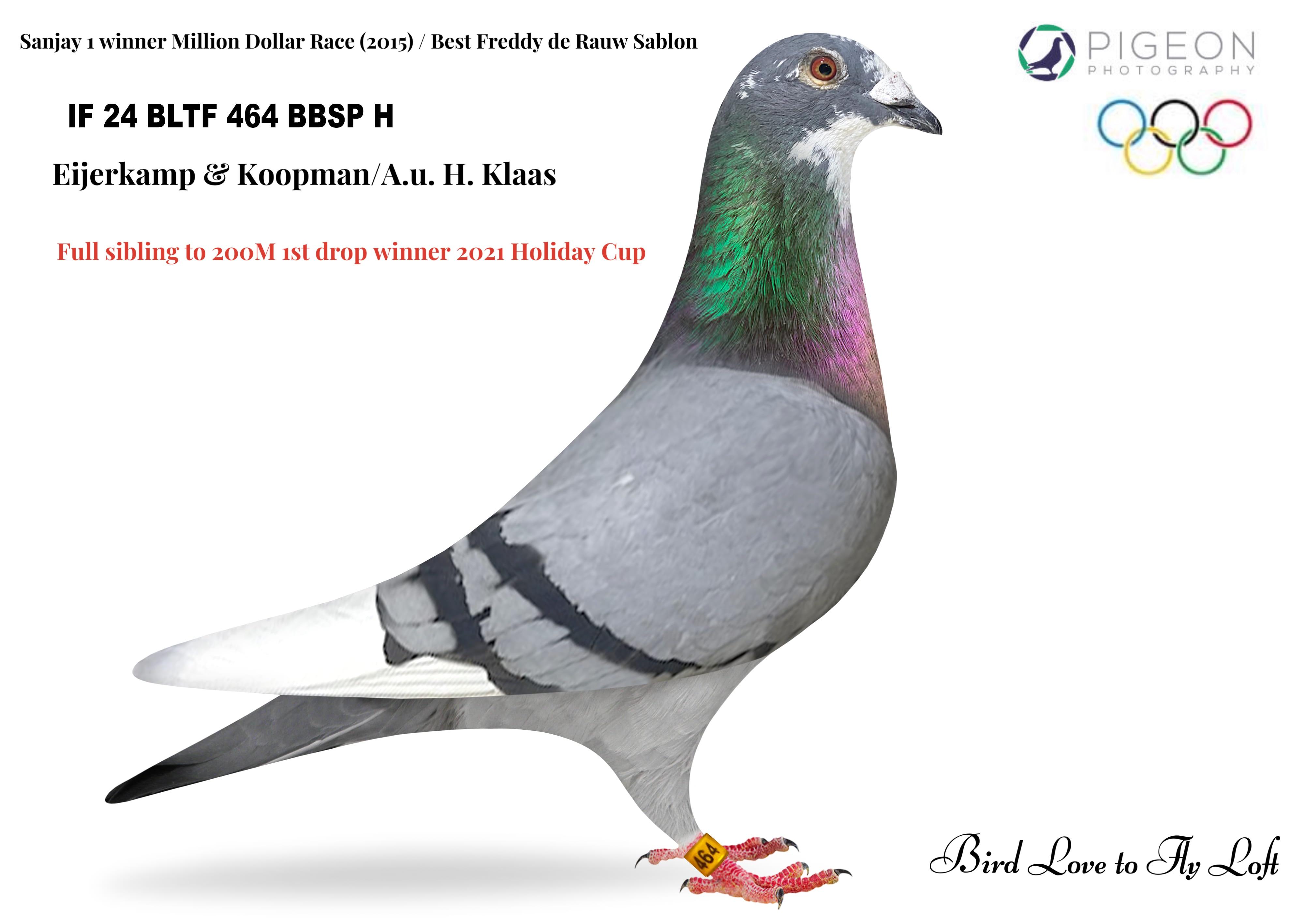 IF 24 BLTF 464 BBSP H ~ ~ Simon Wolf's Superstars: "Sanjay I" "Super Cosmo" and "SCAR"!!!