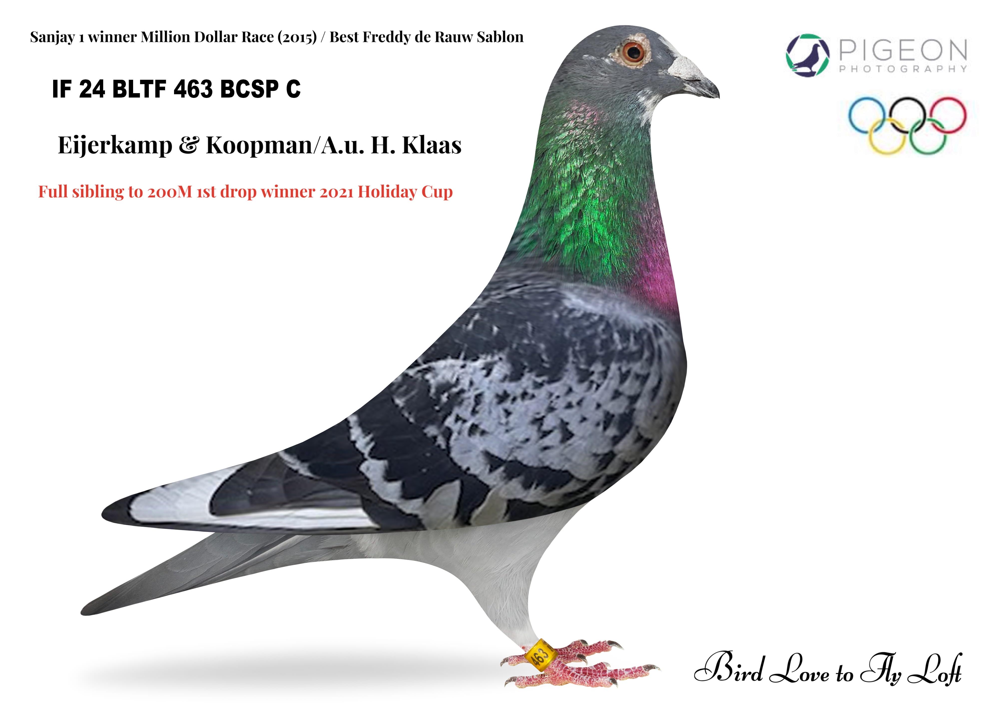 IF 24 BLTF 463 BCSP C ~ Simon Wolf's Superstars: "Sanjay I" "Super Cosmo" and "SCAR"!!!