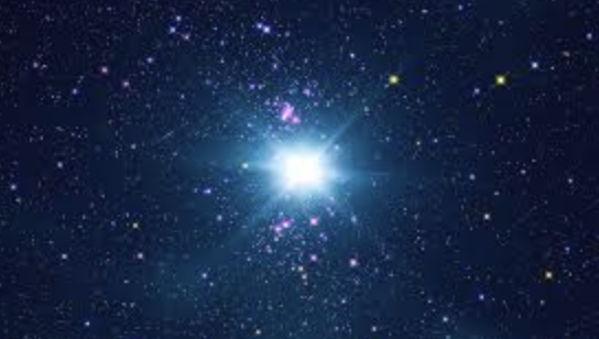 NORTH STAR TOTAL BREEDER SALE!!