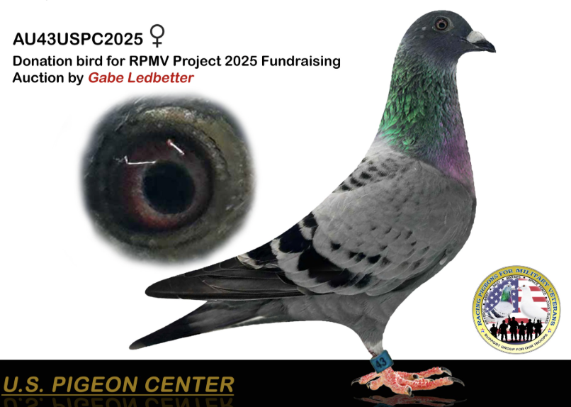 USPC 43 - Blue Best Kittel!