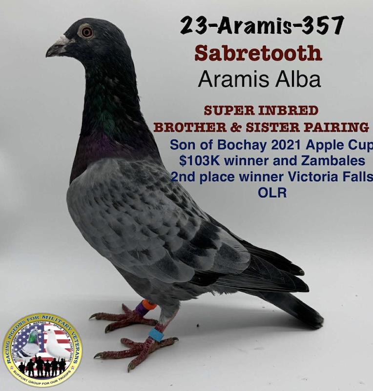 PEDIGREE ADDED ARAMIS 357 - ARAMIS ALBA