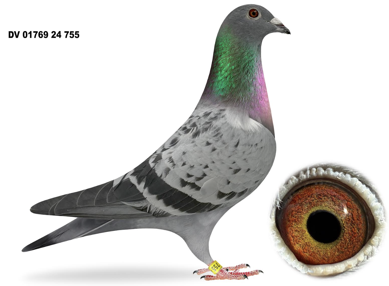 01769 755 - Daughter Maverick!