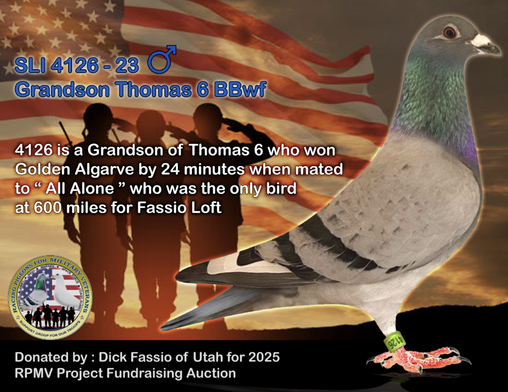 SLI 4126 - Gson Thomas 6