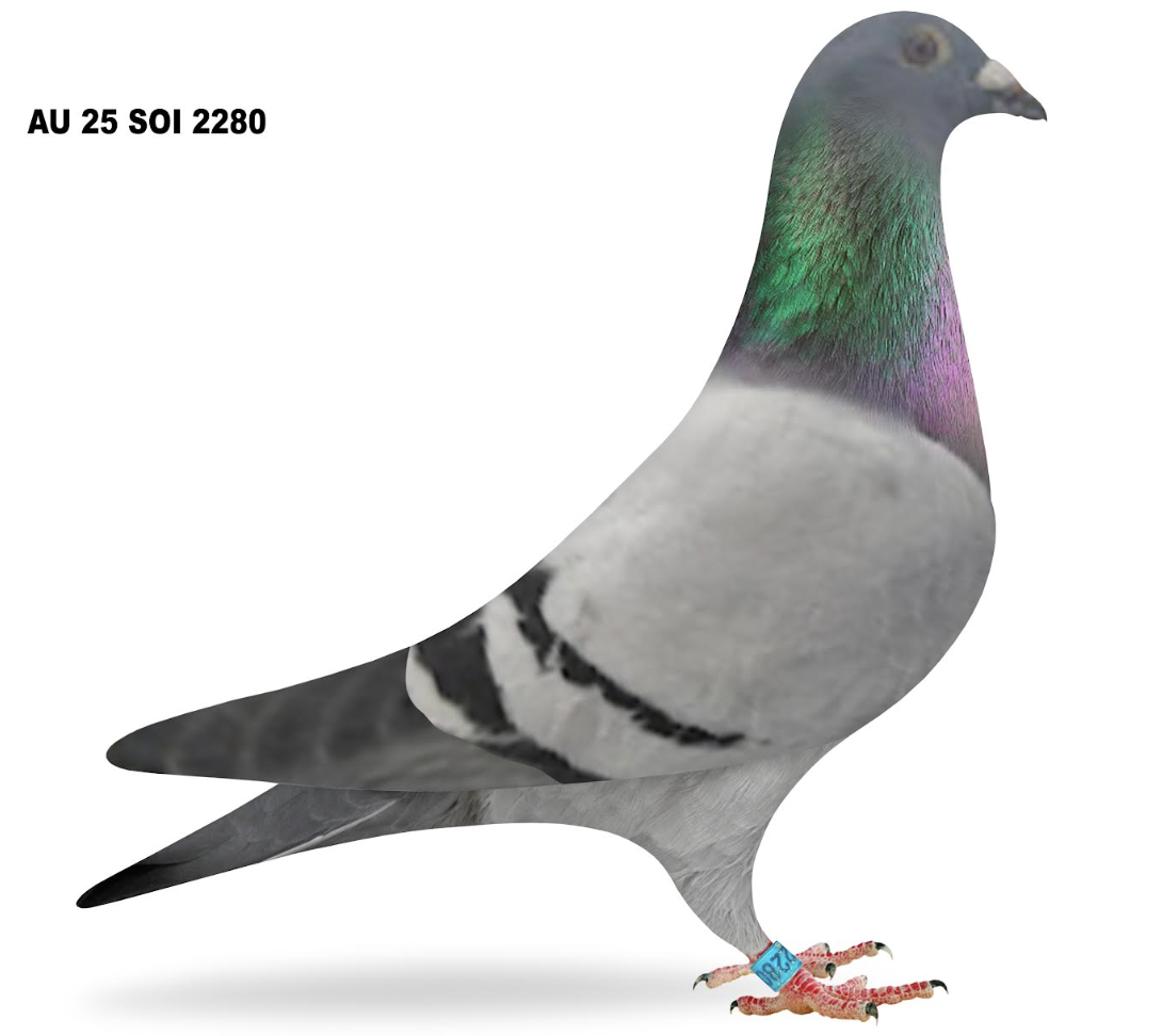 Lot 9: SOI 2280 - Gary Coffman