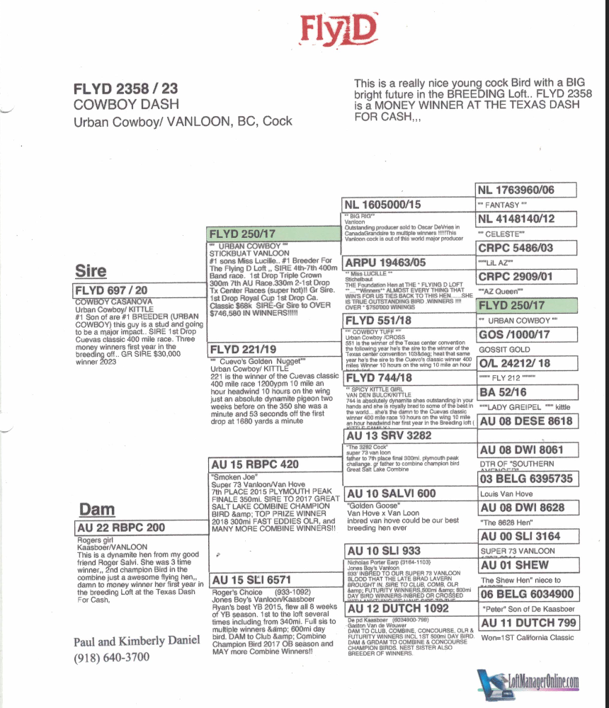 Lot 5: FLYD 2358 - Flying D Loft