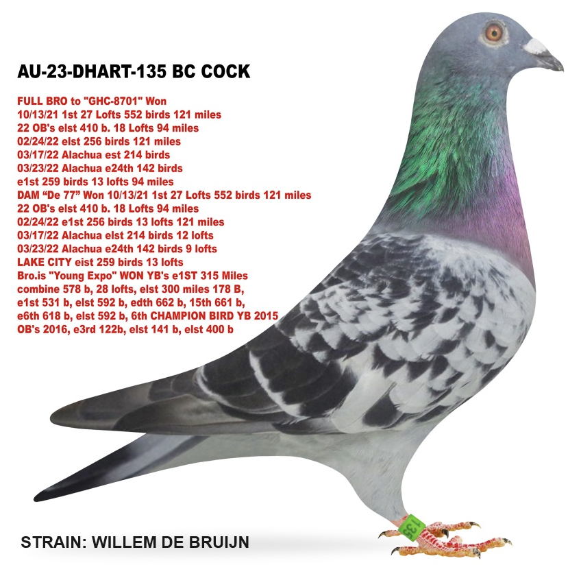 DHART 135 - Willem De Bruijn