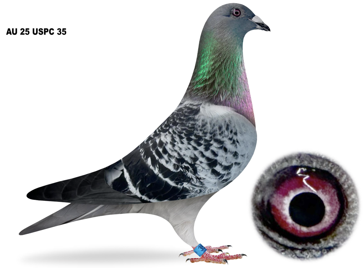 USPC 35 - Top OLR Performers!