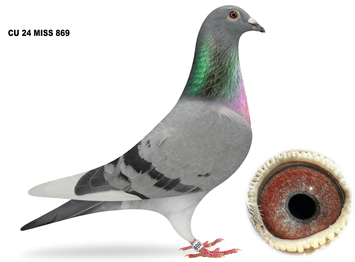 MISS 869 - Secretariat