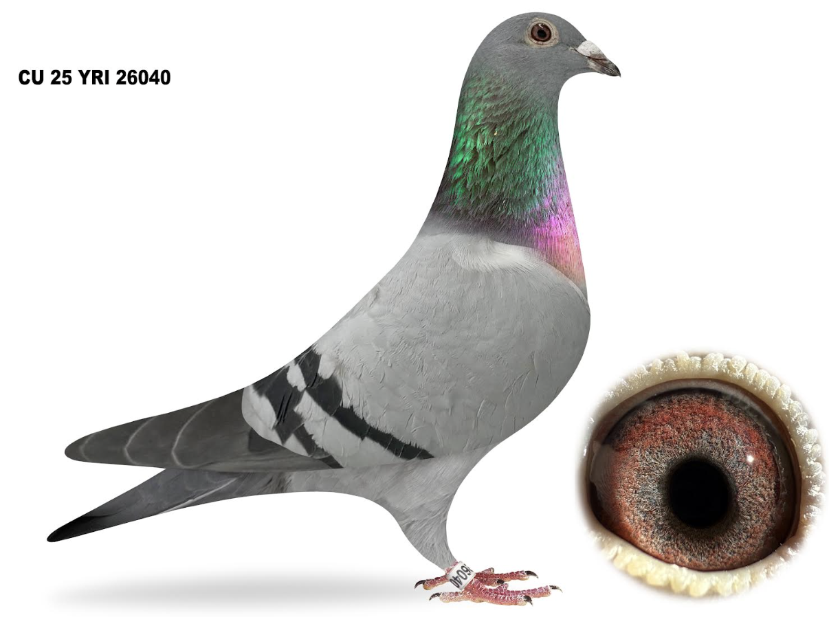 YRI 26040 - Pullman!