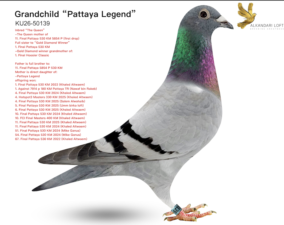 KU 50139  - Pattaya Legend 139