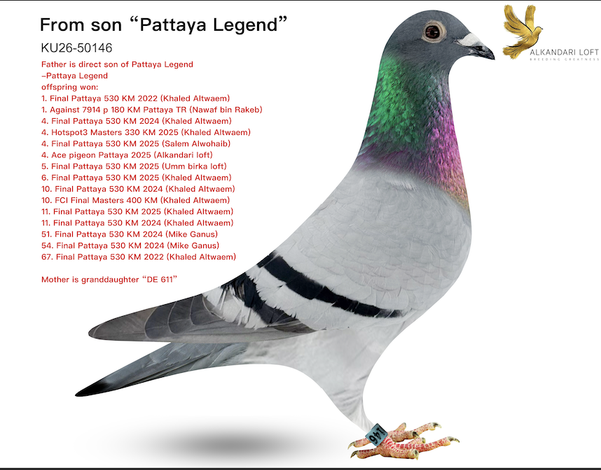 KU 50146 - Pattaya Legend 146