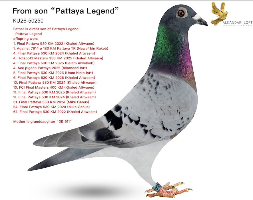 KU 50250 - Pattaya Legend 250