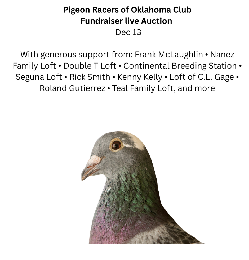 Pigeon Racers of Oklahoma Club LIVE AND ONLINE AUCTION!