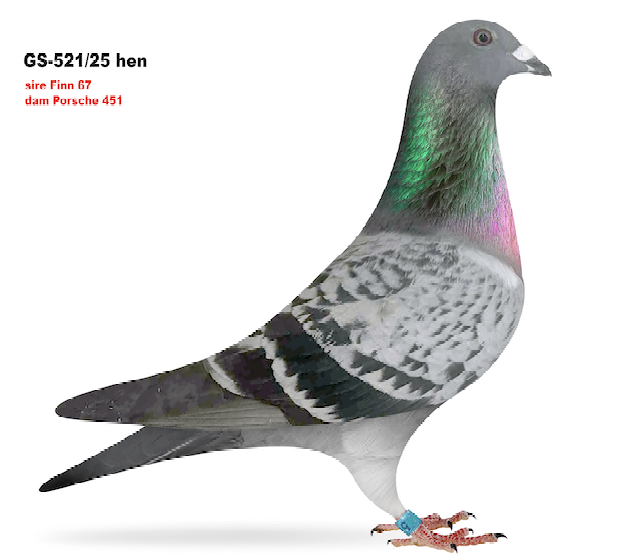 GS 521 - Finn Porsche