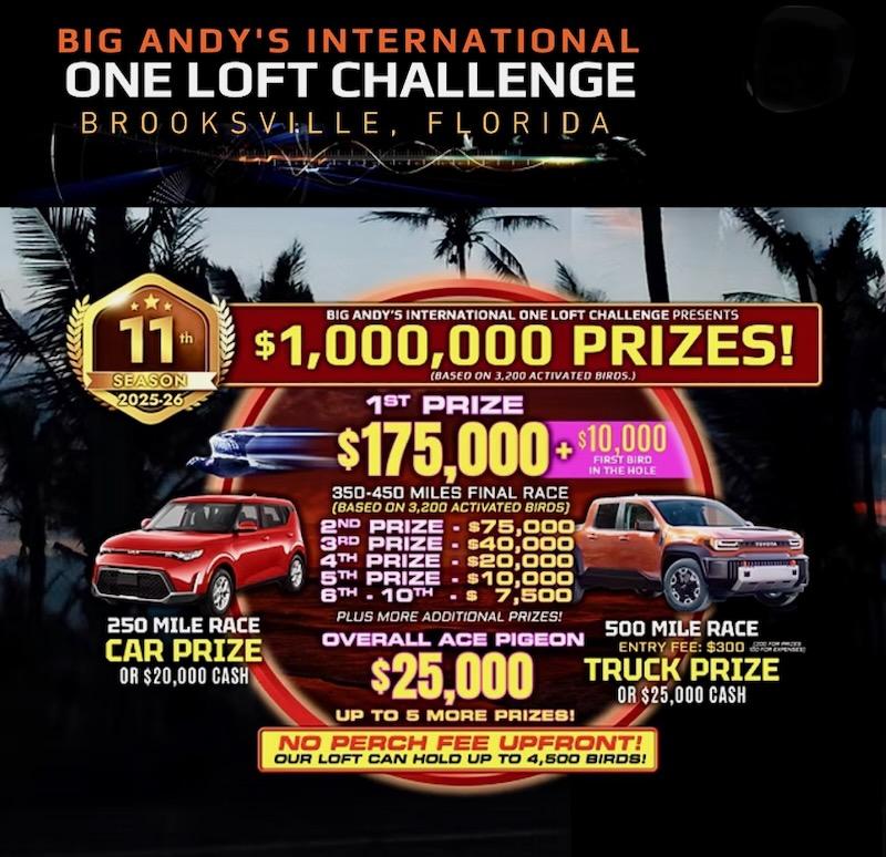 BIG ANDY'S AUCTION AND FRIENDS