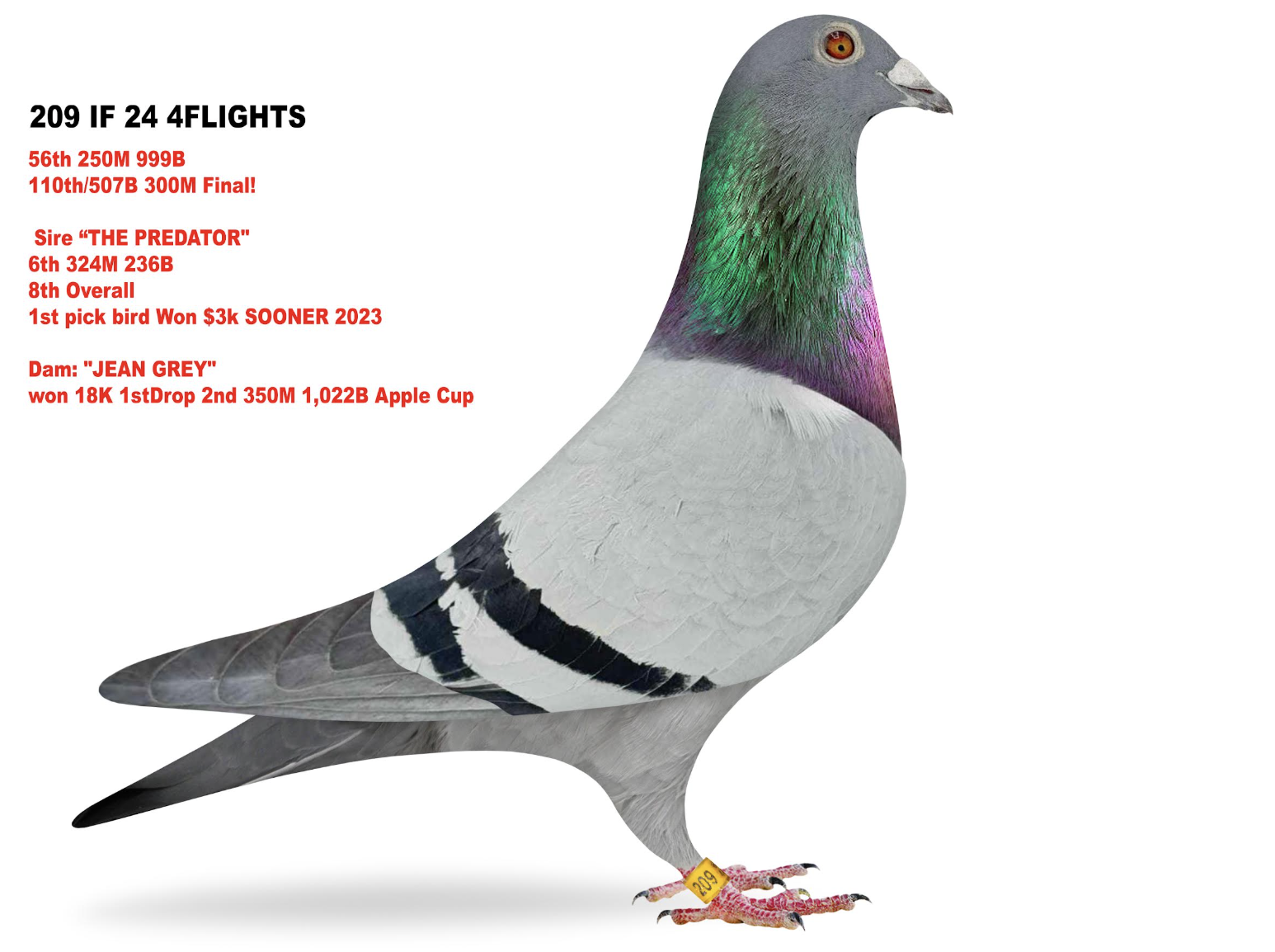 4Flights 209 - Predator x Jean Grey