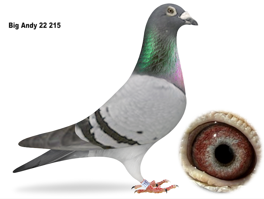 Lot 1: BIGA 215 - Big Andys Loft