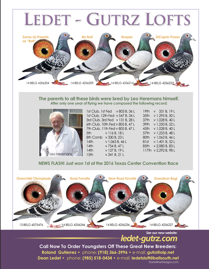 LEDET-GURTZ - SUPERSTAR FANCIERS!!