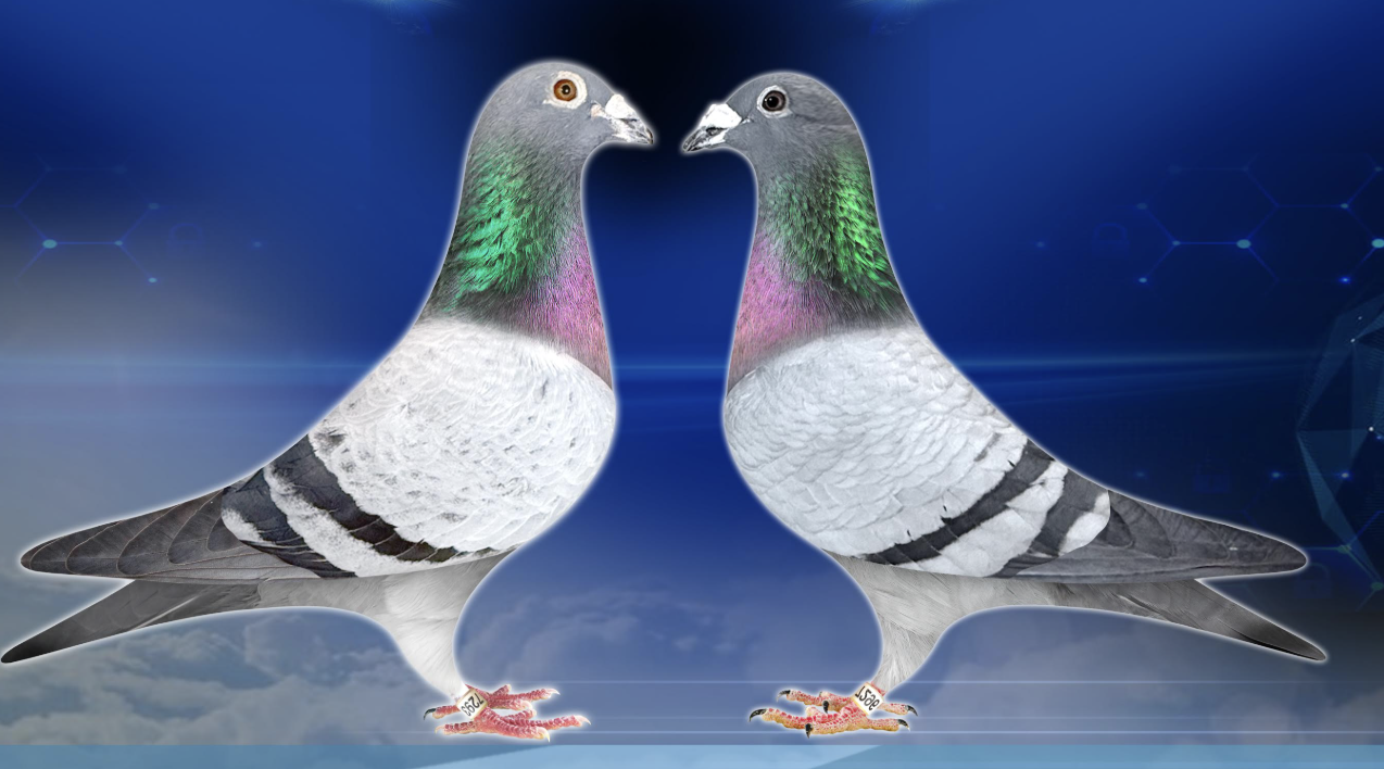 MATCHED PAIR JFL 7293 and JFL 7296