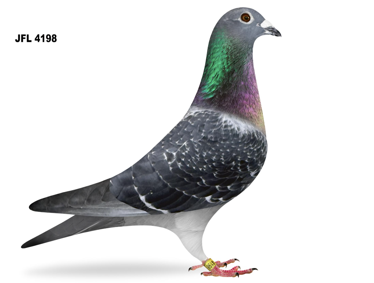 JFL 4198 - Jef and Barcelona Mike