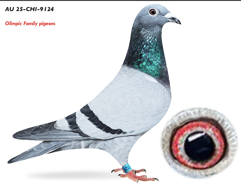 CHICAGO 9124 - Van Loon Sta