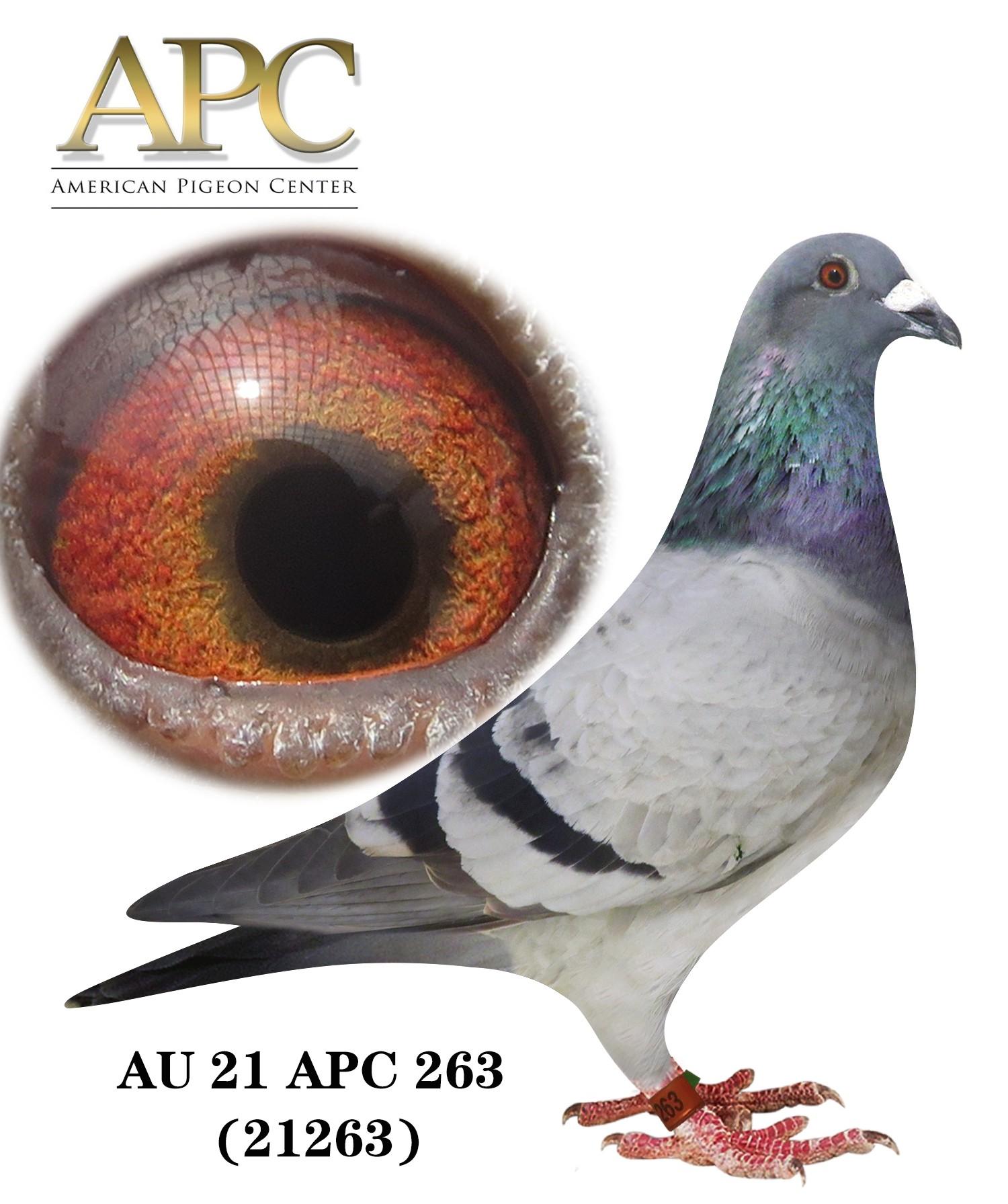 AU 21 APC 21263 Brother =1st River Valley!