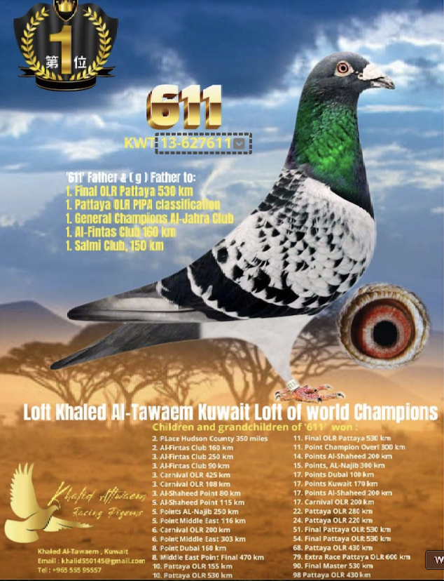 JARAH MOHAMMED - KUWAIT CHAMPION