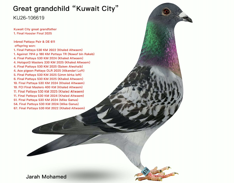 KT 106619 - De 611 Inbred