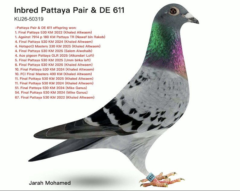 KT 50319 - Pattaya Legend!