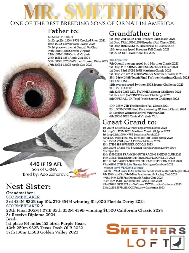 SMETHERS LOFT -- SELECT STOCK!!