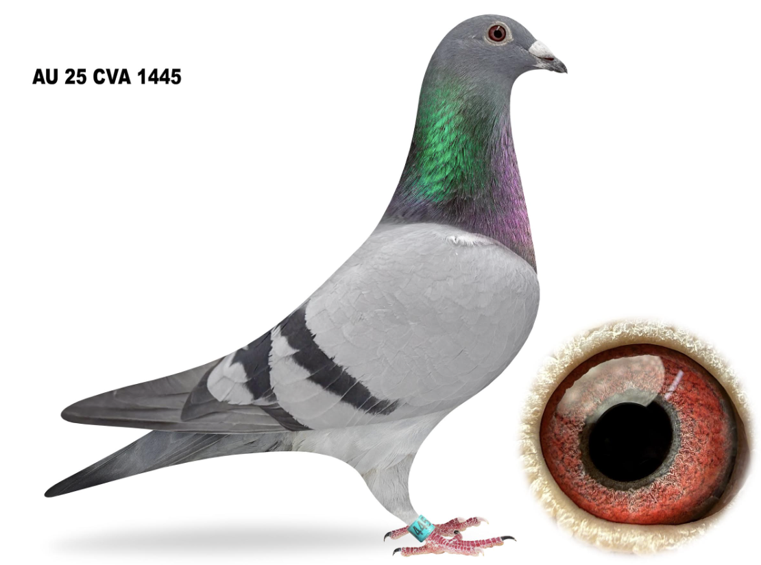 CVA 1445 - Brother Louisiana Star!