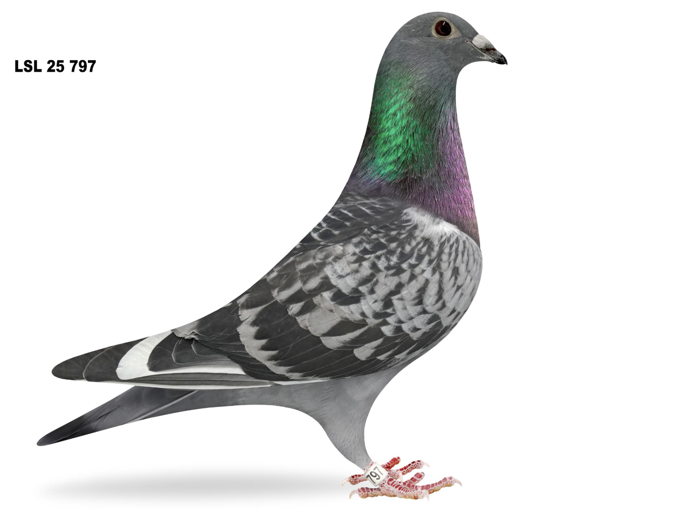 LSL 797 - Unstoppable Superpower