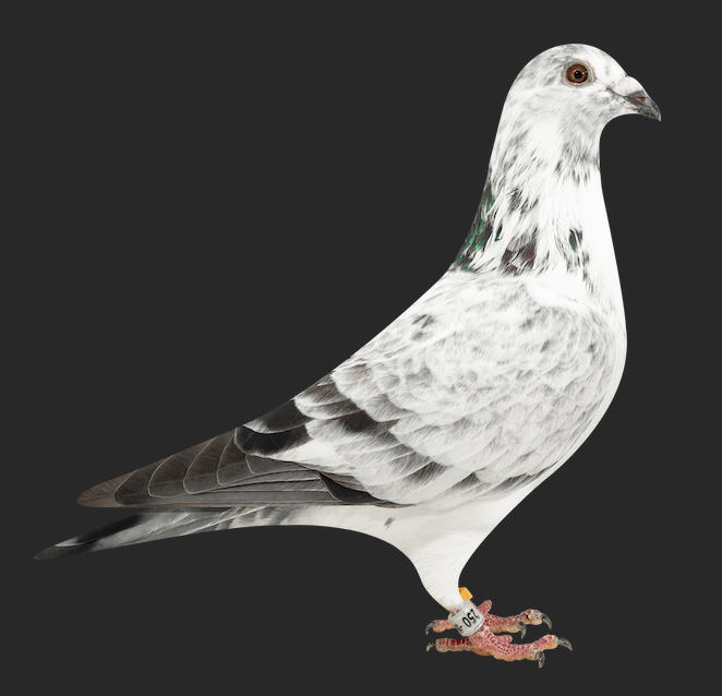 01777 250 - Helios 250