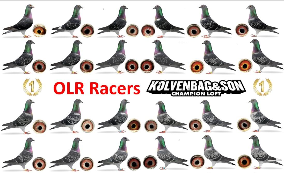 Kolvenbag One Loft Racers