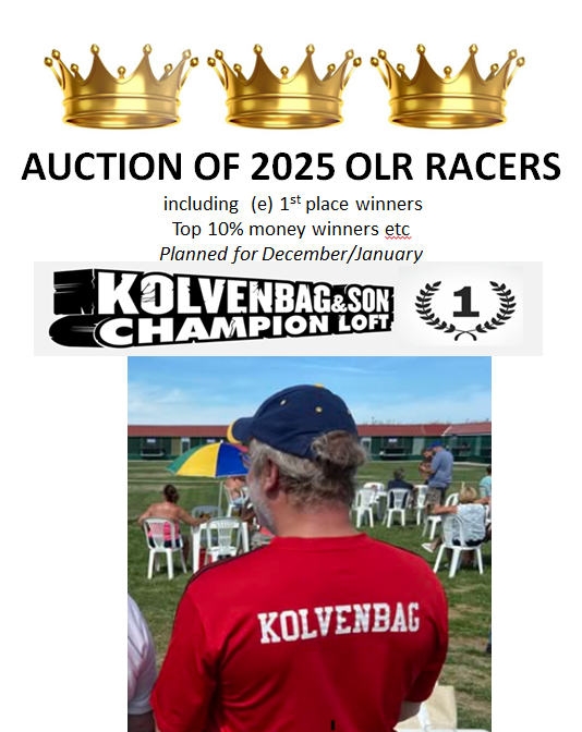 Kolvenbag One Loft Racers