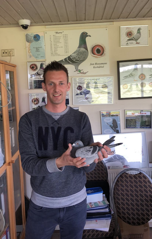 BART VERDEYEN - BELGIAN STAR!