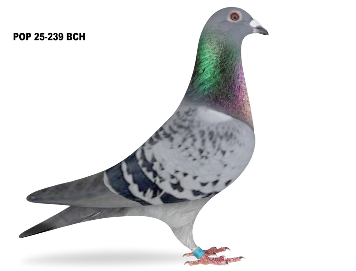 POP 239 - Scorpion Red Monkey