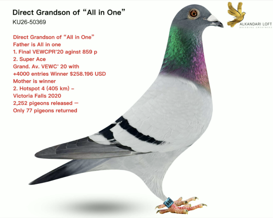 KU 50369 - Koopman Performance!