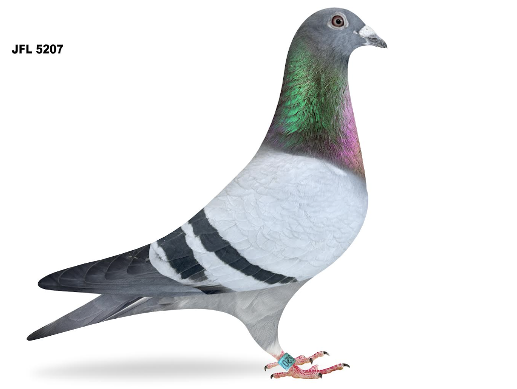 JFL 5207 - =1st Winner!