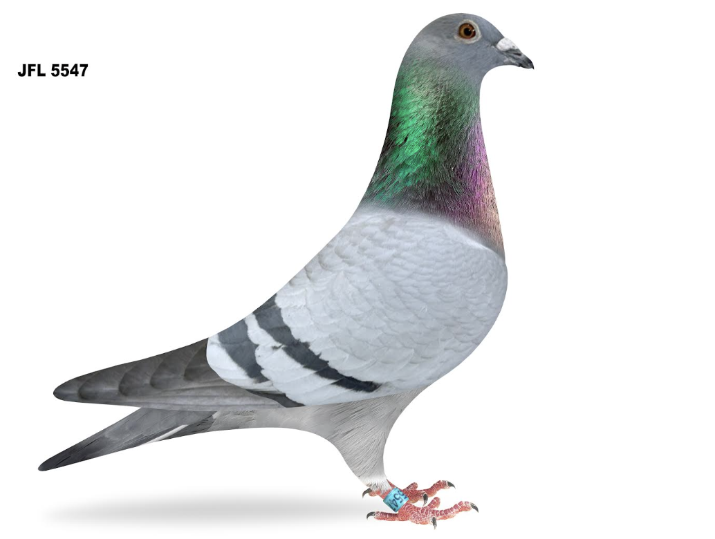 JFL 5547 - Sibling 5th Ace Plymouth Peak!