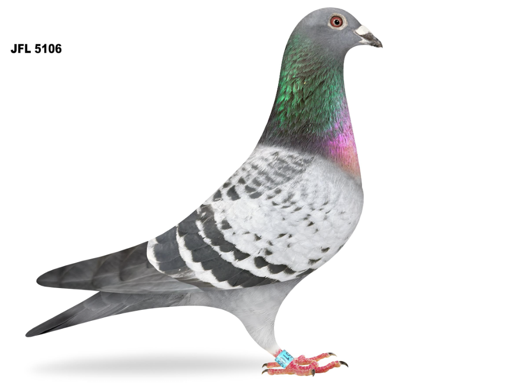 JFL 5106 - Dau Lethal Weapon