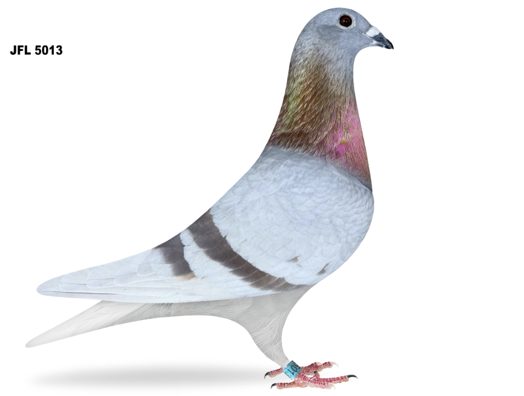 JFL 5013 - 15th Ace Lucky 17!