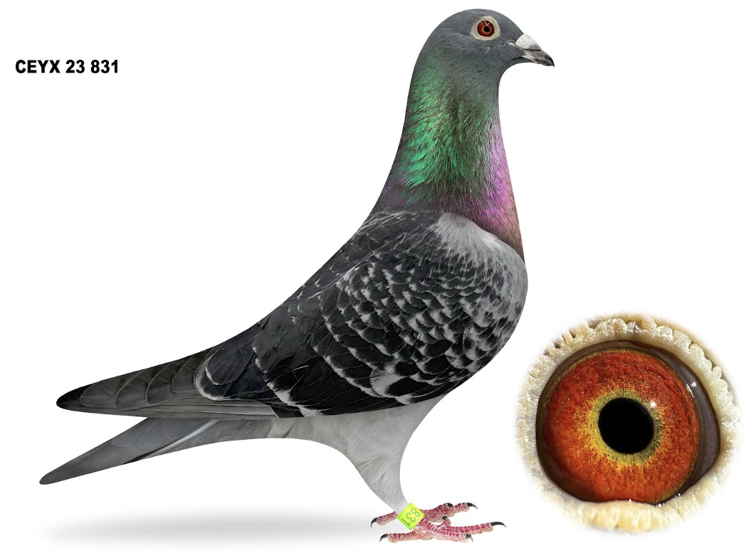 CEYX 831 - 734 and Cool Dude Michael!