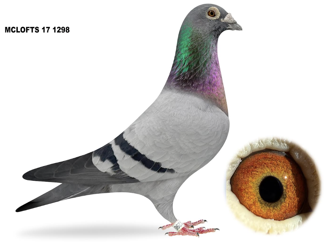 MCLO 1298 - Best of Sablon